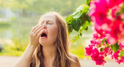 Alergia Objawy Rodzaje I Leczenie Alergii Uczulenie Na Pylki