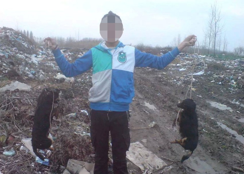 Slika zbog koje je do sada reagovalo 1.938 ljudi