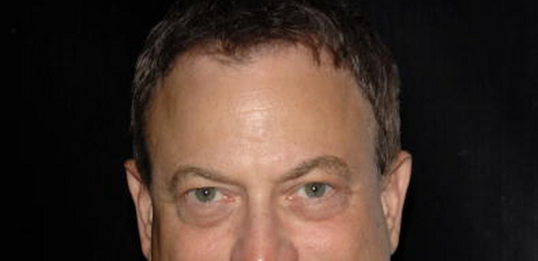 Gary Sinise (getty Images)