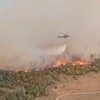 Helikopter Super Puma gasi požar u Deliblatskoj peščari
