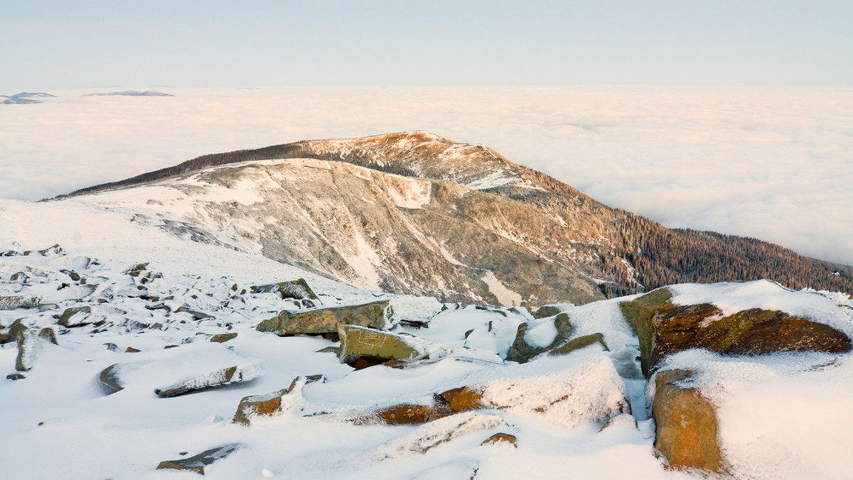 Zima w Beskidach jest zbyt łagodna, by skłonić do snu niedźwiedzia. W poniedziałek pod przełęczą Brona w masywie Babiej Góry goprowiec Maciej Moskwa sfotografował odcisk łapy drapieżnika – poinformował przyrodnik z Babiogórskiego Parku Narodowego Maciej Mażul.