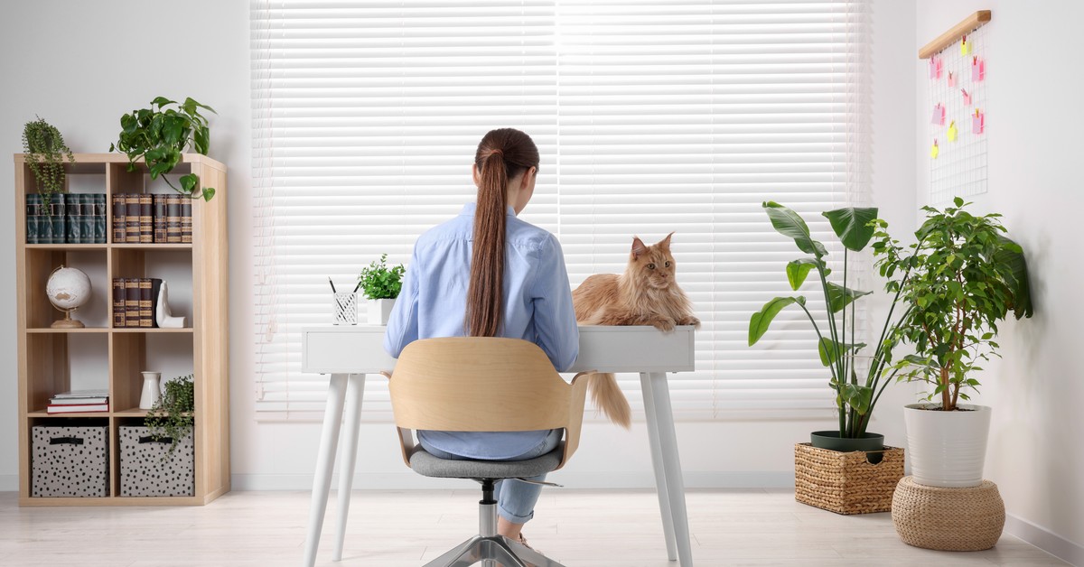 Laptop i monitor w mieszkaniu pracownika to jeszcze nie zakład podatkowy