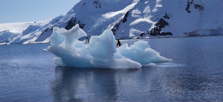 Antarktyka. Widok z Wyspy Króla Jerzego