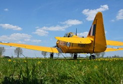 Samoloty II wojny światowej. Szkoliła się na nich córka marszałka Piłsudskiego, w Polsce latają do dziś [ZDJĘCIA]