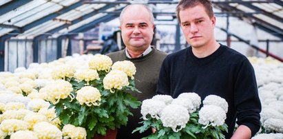 To najlepsze kwiaty na groby