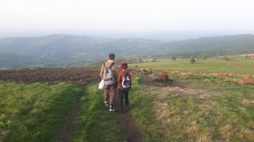 Do vrha možda baš ne mora da se ide preko uzorane njive zatrpane stajskim đubrivom