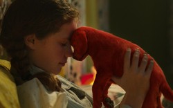 "Clifford Wielki Czerwony Pies" trafia do kin. Zobacz niezwykły film