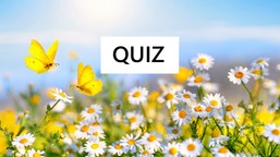 [QUIZ] Pierwszy dzień wiosny - zagadki dla dzieci