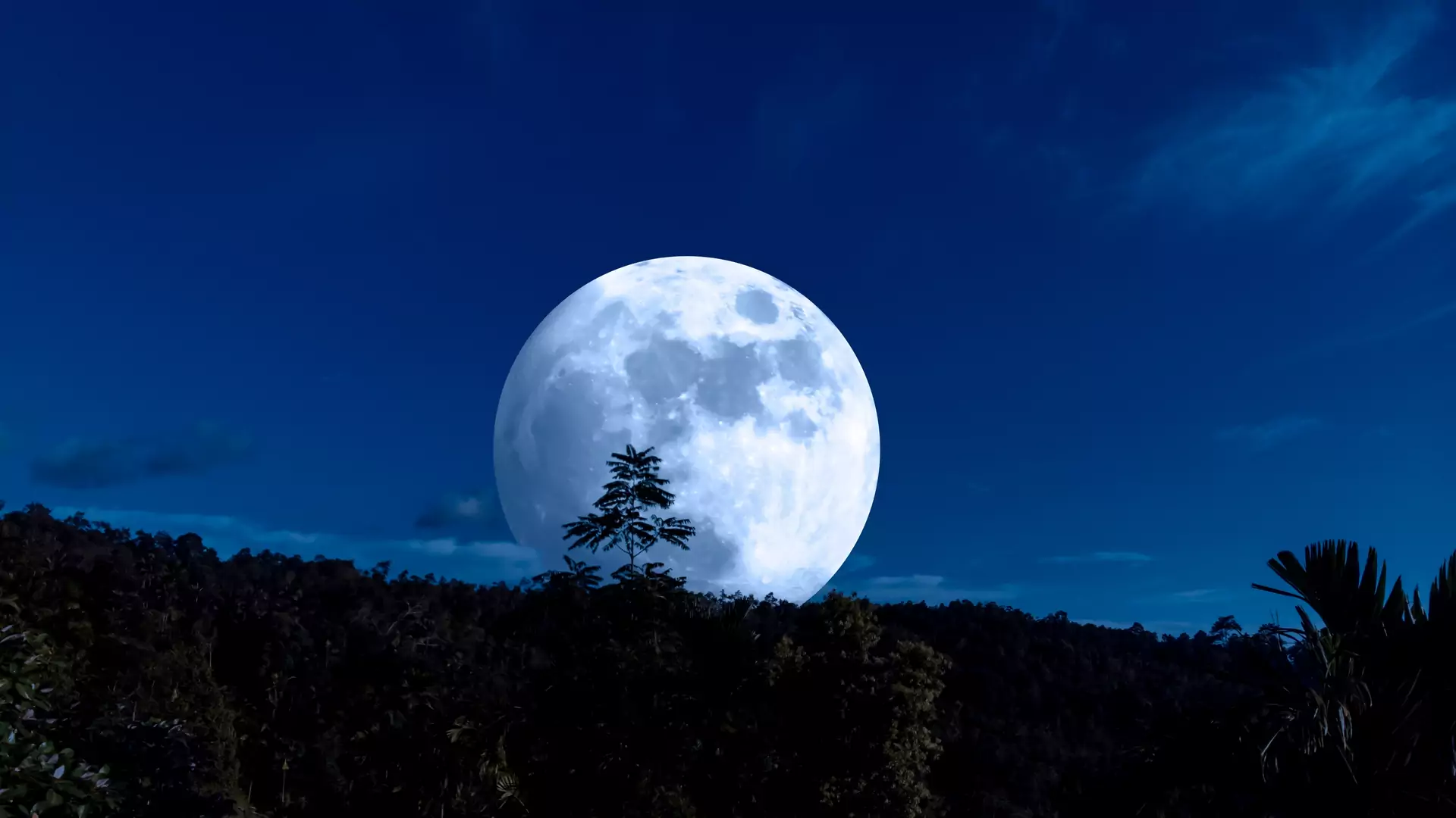 Głodny Księżyc już wkrótce na niebie. Trzy znaki zodiaku odczują duże zmiany