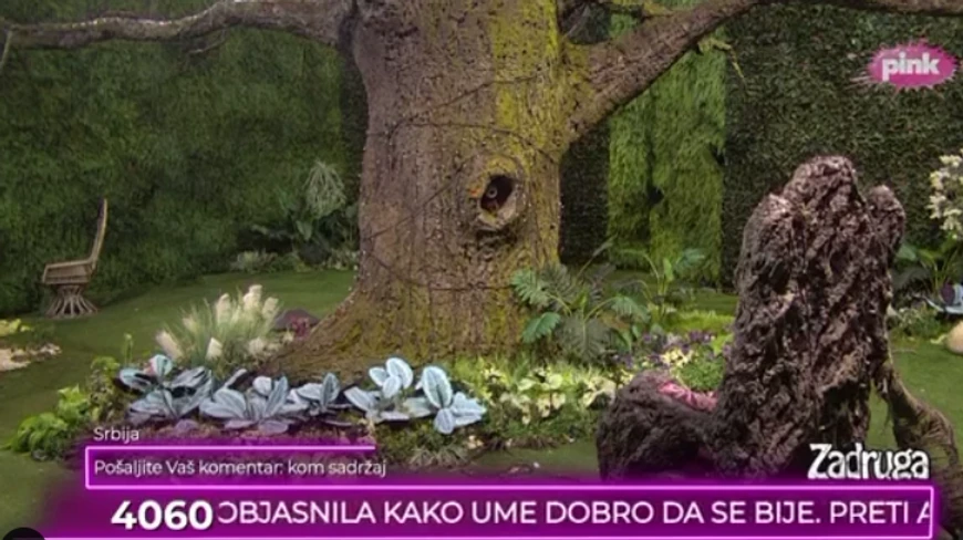 Zadruga 6 (Foto: Screenshot TV Pink)