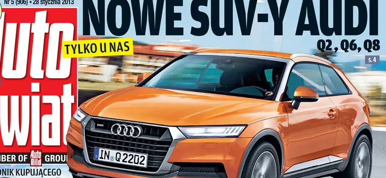 Audi Q2, Q5 i Q8: egzotyczne mieszanki Audi