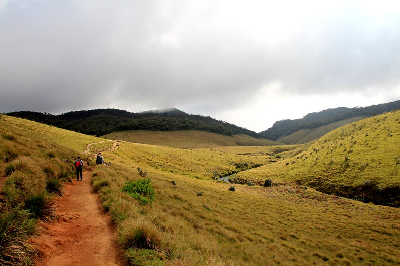 Horton Plains