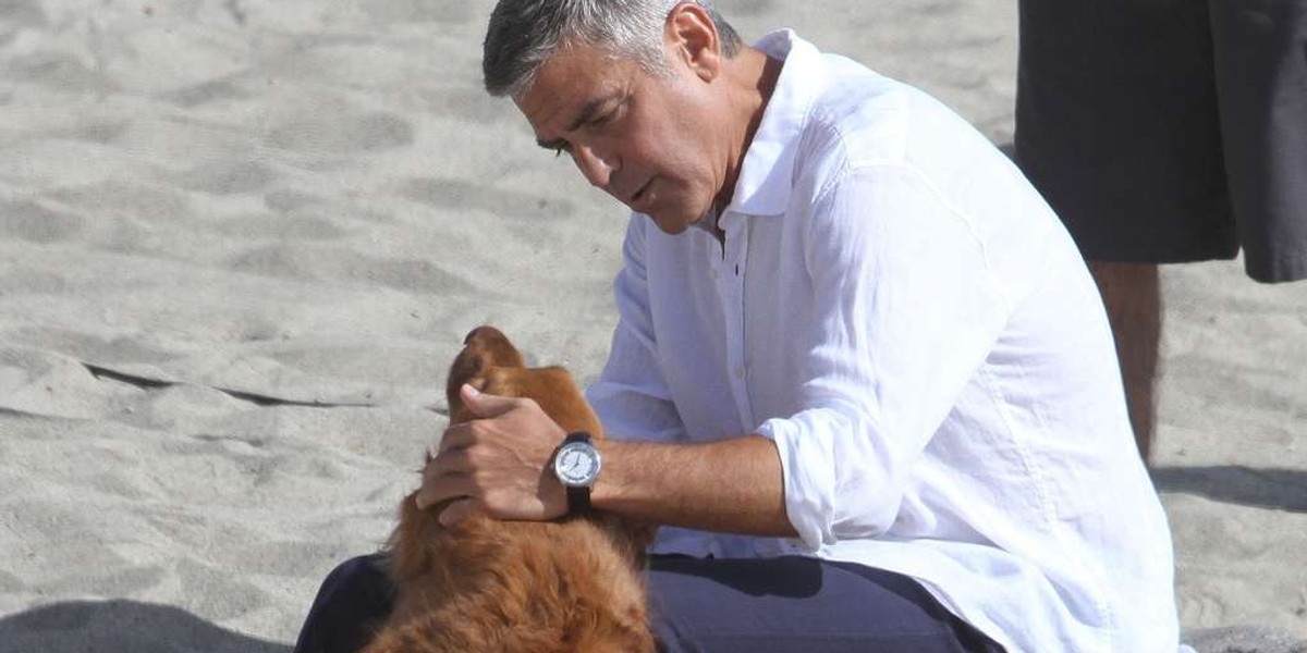 George Clooney z psem