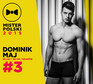 Finaliści konkursu Mister Polski 2015