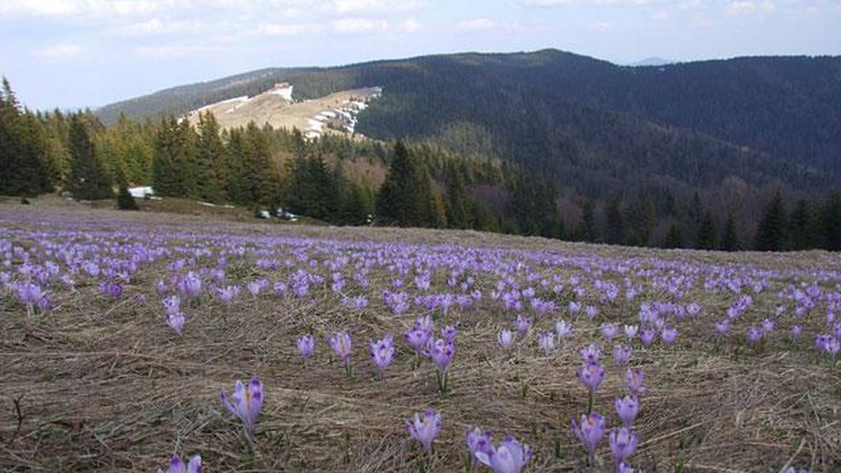 Galeria Polska - pomysły na wiosenne weekendy, obrazek 10