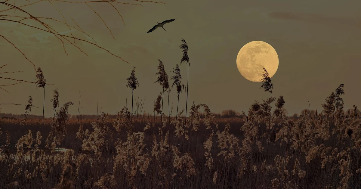 Kiedy zaczyna się astronomiczna jesień 2025? Na niebie szykuje się widowisko