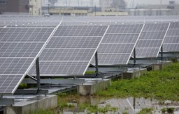 OZE: Polska uniknie gigantycznych kar finansowych. KE wycofa pozew