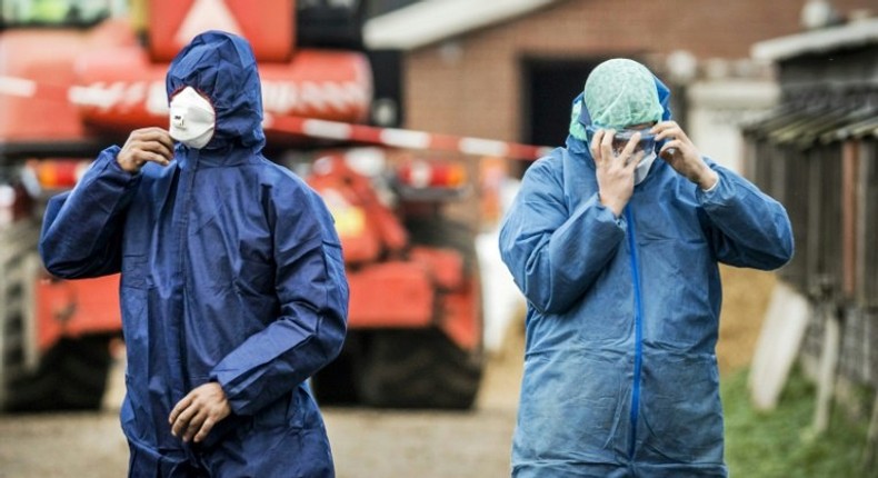 Workers in protective gear get ready to cull ducks as part of prevention measures against bird flu at a duck farm in Hierden, central Netherlands on November 27, 2016