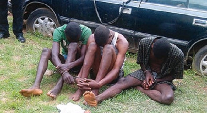 A gang of robbers busted