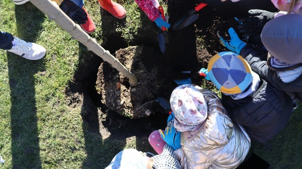 Wraz z grupą Smerfów, czyli dziećmi z sąsiadującego Przedszkola nr 51, udało się posadzić 97., 98., 99. i setne drzewo na terenie Aquaparku Brochów. 