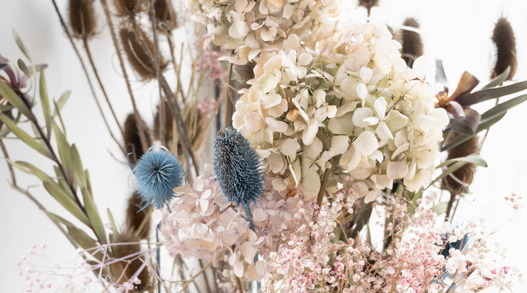 Egy csokor száraz növény bárhol jól mutat a lakásban/Fotó: Shutterstock