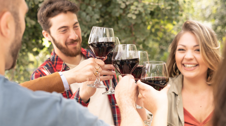 A sötétebb, testesebb borok a legegészségesebbek / Fotó: Shutterstock