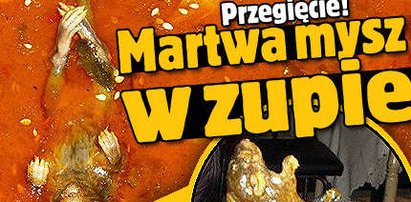 Przegięcie! Martwa mysz w zupie