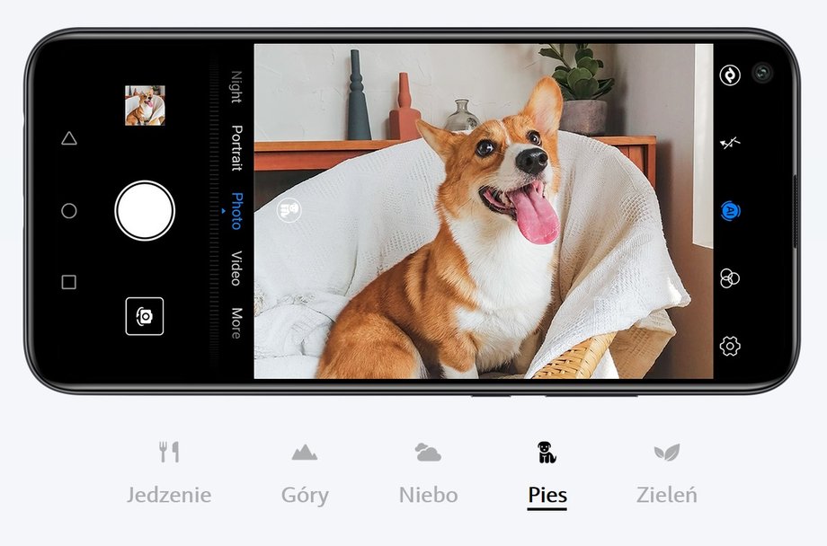 Pies, kot, a może panda? Smartfony Huawei poprawnie rozpoznają w kadrze nie tylko wybrane zwierzęta, ale także jedzenie, kwiaty i wiele innych obiektów. 