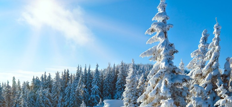 Zima jest już w Polsce. Spadło ponad 20 cm śniegu