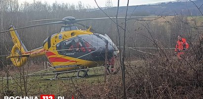 Koszmarny wypadek podczas półkolonii w Małopolsce. Koń stratował 12-latkę