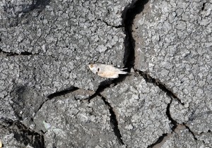 klimatske promene, suša