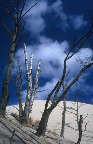 Najpiękniejsze krajobrazy Polski