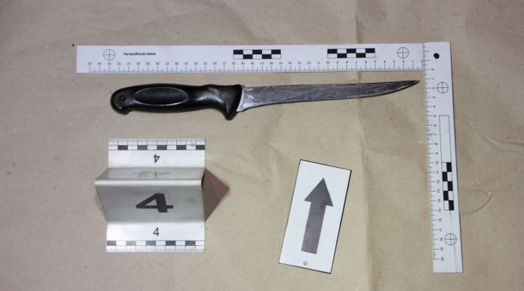 Ezzel a késsel szúrta hasba élettársát a tatabányai férfi /Fotó: Police.hu