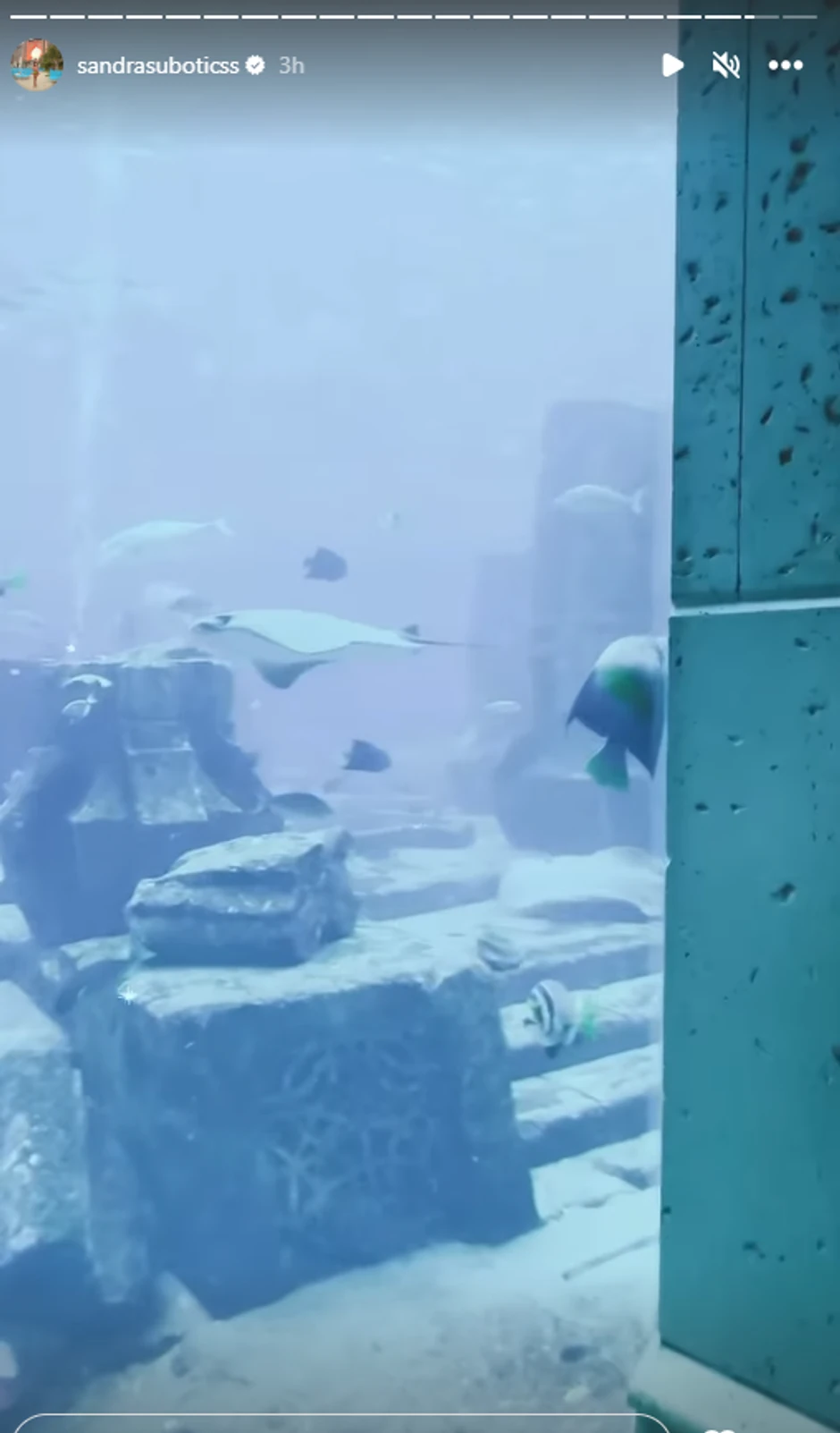 Aleksandra Subotić uživa u luksuzu