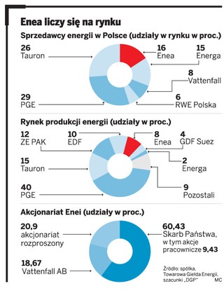 Enea: inwestor za tydzień