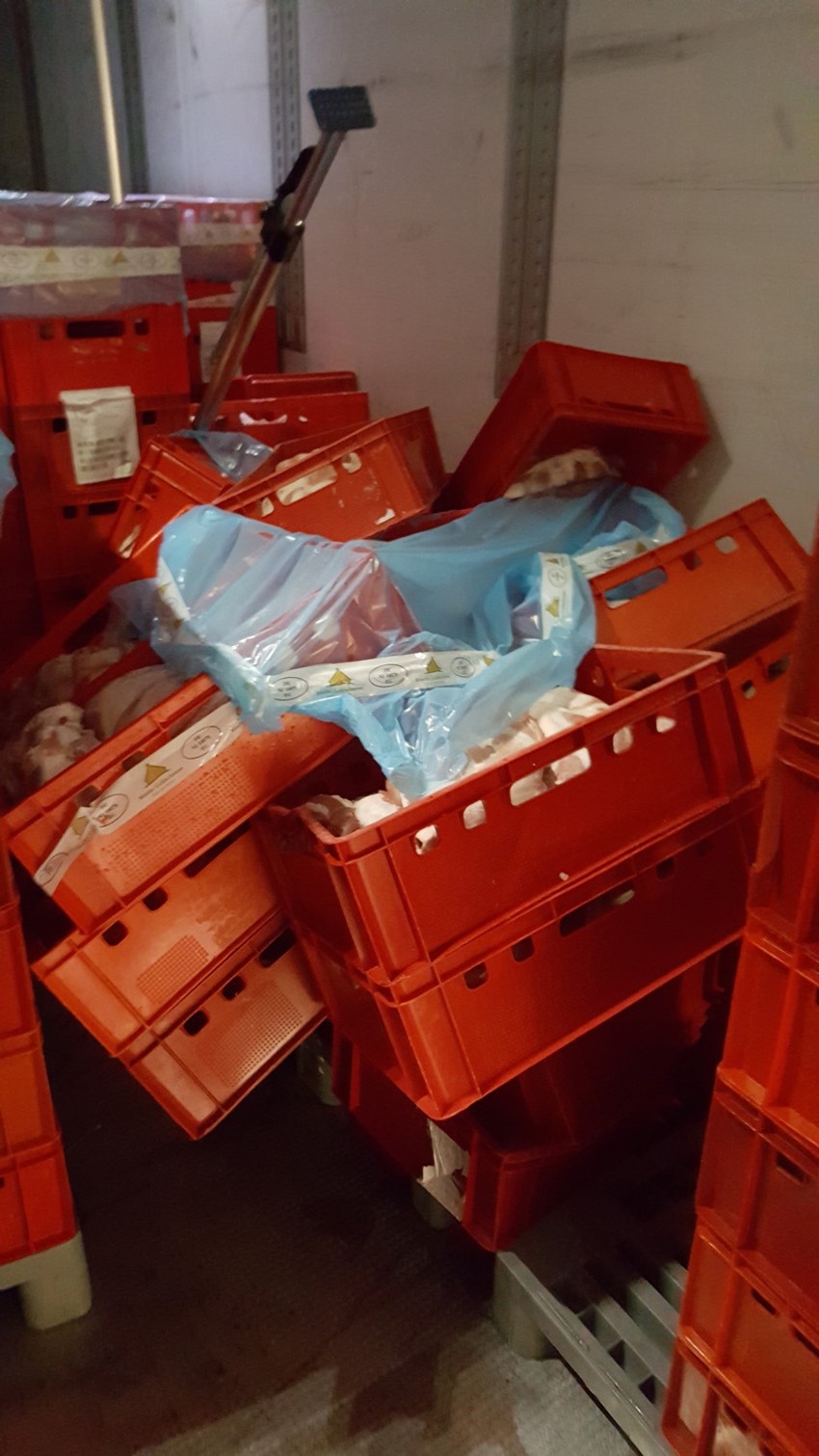 Istovar, utovar, stres... Zvonko je odbio ponudu od 3.600 evra, više ne želi da propušta život