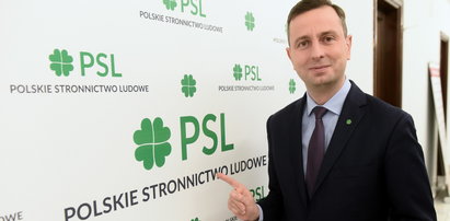 PSL zyska na sukcesie PiS