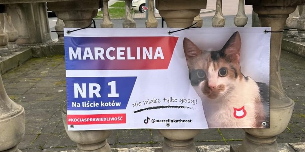 Baner wiszący w Katowicach.