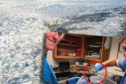 Naukowcy trafili na prawdziwy skarb w próbkach ziemi z Grenlandii zebranych w 1966 r. "Skakaliśmy z radości"