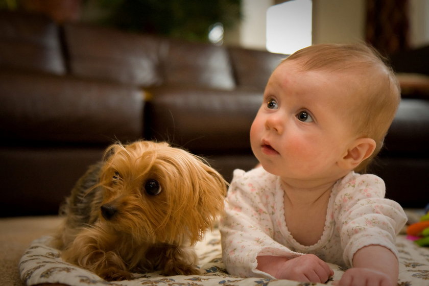 Dziecko i pies to najlepsi przyjaciele