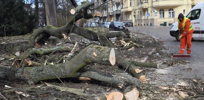 Wichura spustoszyła Polskę. Lepiej będzie...