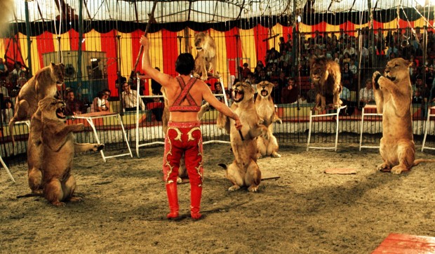 cirkus/ilustracija