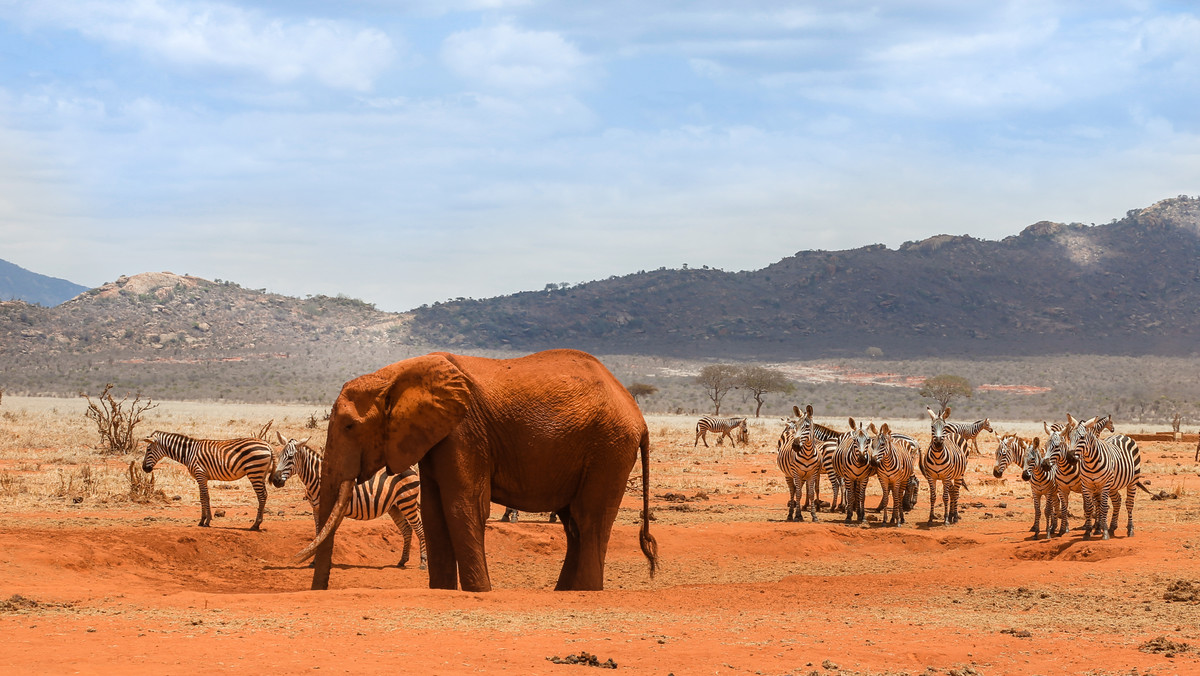 Kenia – fascynujące miejsce 