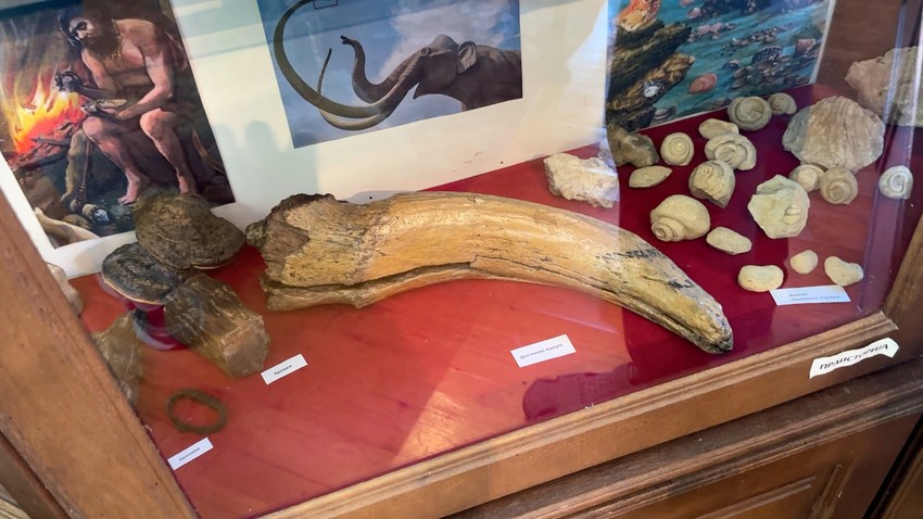 Jedinstveni muzej u Terzića avliji u Zlakusi kod Užica