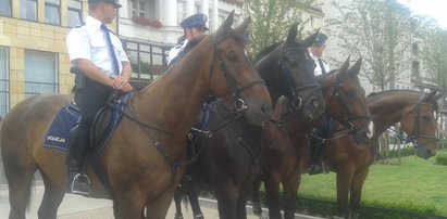 Policjanci świętowali z poznaniakami. FILM