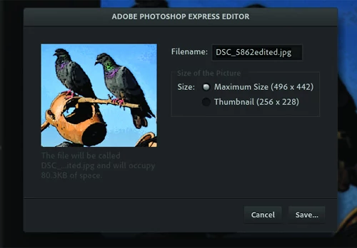 Photoshop Express Editor - internetowa, darmowa wersja najpopularniejszej tradycyjnej aplikacji graficznej w tym teście musiała ustąpić pierwszeństwa mniej znanemu edytorowi. Ma zbyt okrojone funkcje, nawet tak podstawowe, jak zapis