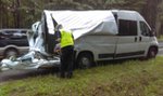 Ogromne drzewo spadło na busa. Zdarzył się cud. ZDJĘCIA