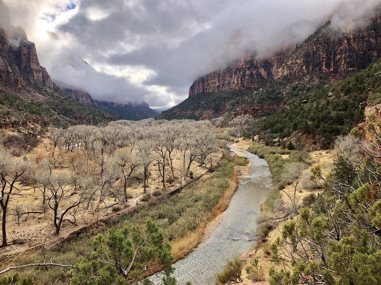 Zion Canyon i rzeka Virgin widziane ze szlaku Kayenta Trail