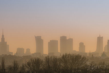 "Rząd nie realizuje antysmogowych obietnic"