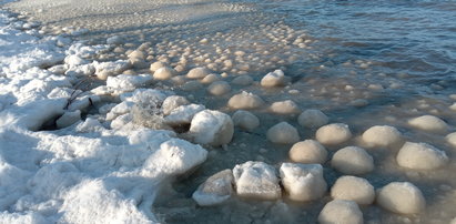 Kule lodowe nad Zalewem Wiślanym. Jak powstaje to niezwykłe zjawisko? Co to są morszkulce?